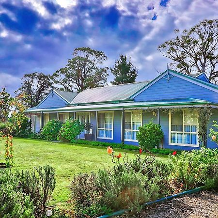 Marigold Cottage, A Blue Mountains Oasis- Spacious, Views & Kangaroos Little Hartley Bagian luar foto