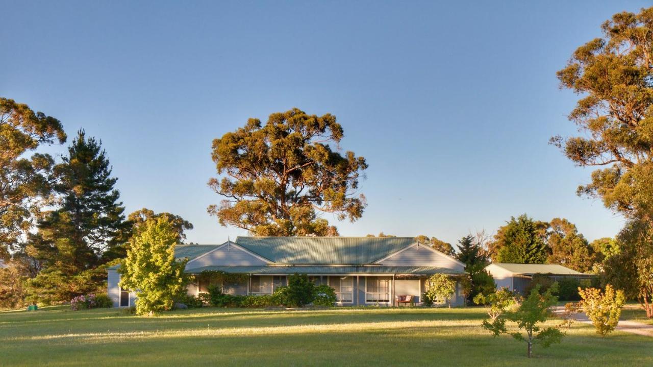 Marigold Cottage, A Blue Mountains Oasis- Spacious, Views & Kangaroos Little Hartley Bagian luar foto