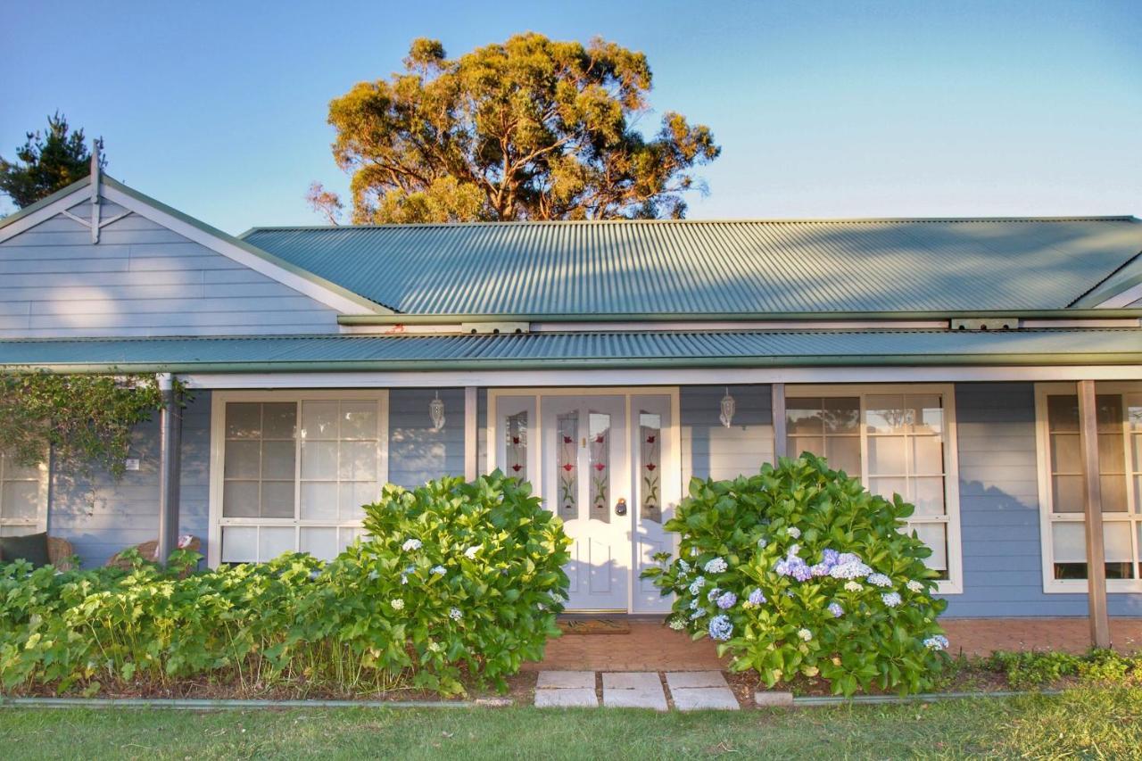 Marigold Cottage, A Blue Mountains Oasis- Spacious, Views & Kangaroos Little Hartley Bagian luar foto