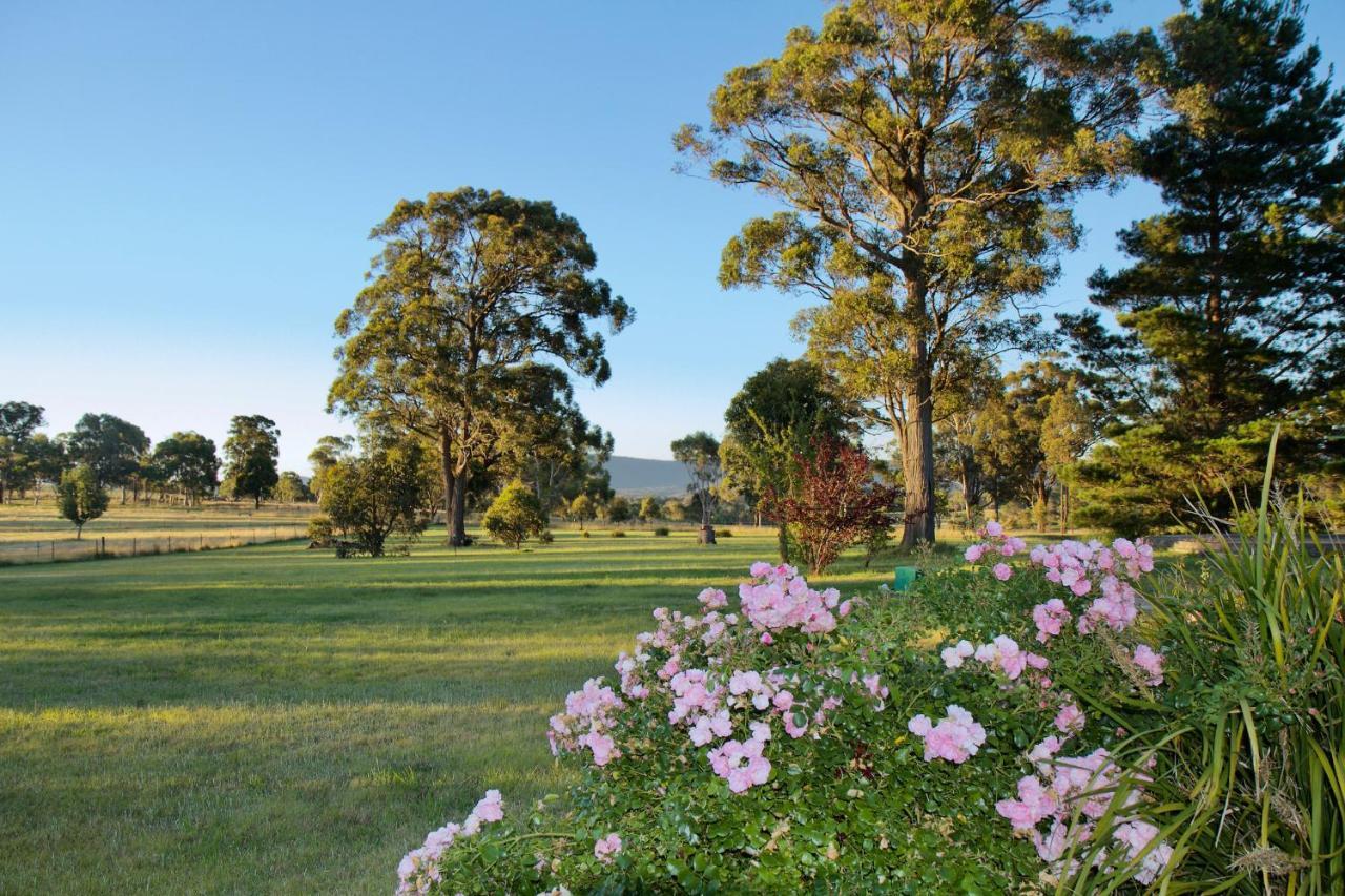 Marigold Cottage, A Blue Mountains Oasis- Spacious, Views & Kangaroos Little Hartley Bagian luar foto