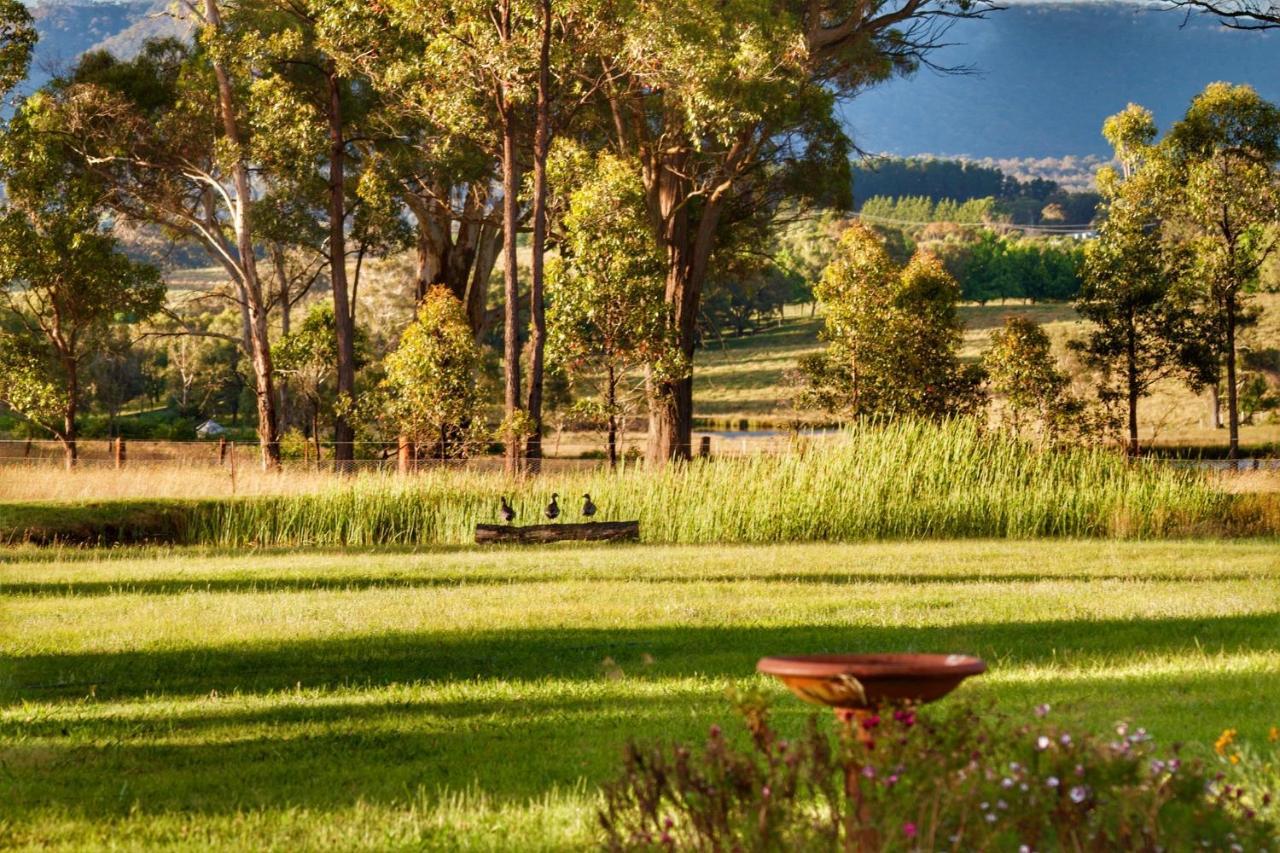 Marigold Cottage, A Blue Mountains Oasis- Spacious, Views & Kangaroos Little Hartley Bagian luar foto