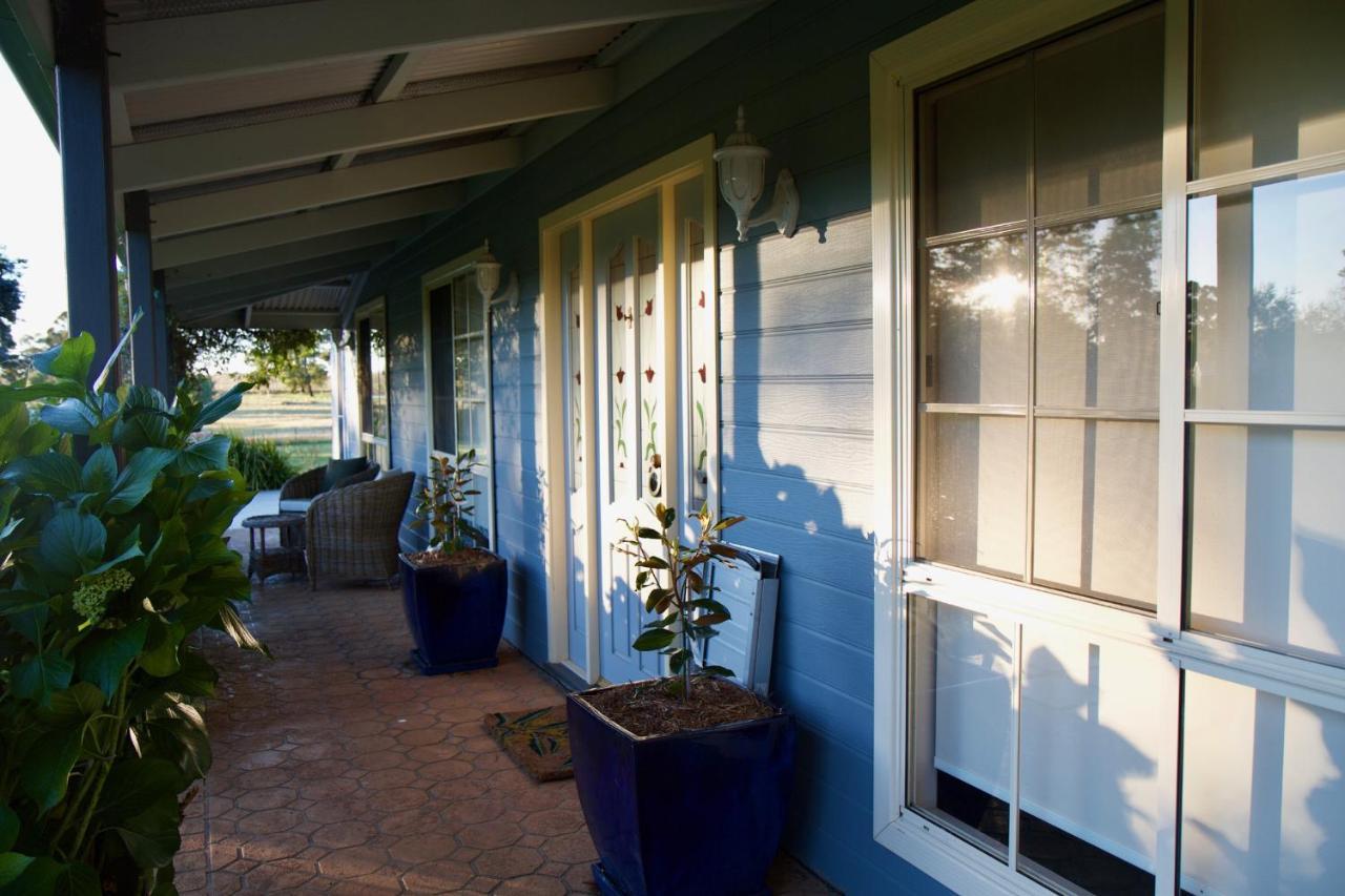 Marigold Cottage, A Blue Mountains Oasis- Spacious, Views & Kangaroos Little Hartley Bagian luar foto