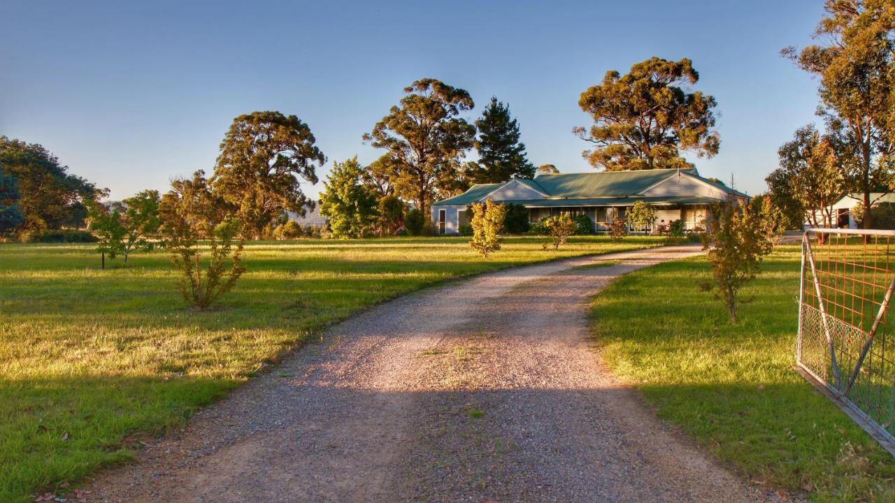 Marigold Cottage, A Blue Mountains Oasis- Spacious, Views & Kangaroos Little Hartley Bagian luar foto